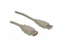 Delock  USB 2.0 Type-A (apa/anya) kábel - 3 m 82240 kép, fotó
