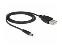 Delock  USB Type-A (apa) - DC Jack (apa) kábel - 1 m 82197 kép, fotó