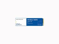 Western Digital  Blue SN570 250GB PCle M.2 2280 SSD WDS250G3B0C kép, fotó
